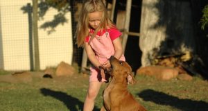 Unleashed Wisdom: A Guide to Preventing and Treating Dog Bites