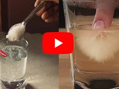 Revealed: How Sipping Salt Water Before Bed Can Flush Fat Make sure your sound is turned on. Please wait up to 10 seconds for the video to load.