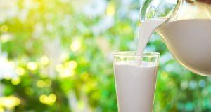 Cow Milk, Goat Milk, or Sheep Milk: Which One Should You Choose?