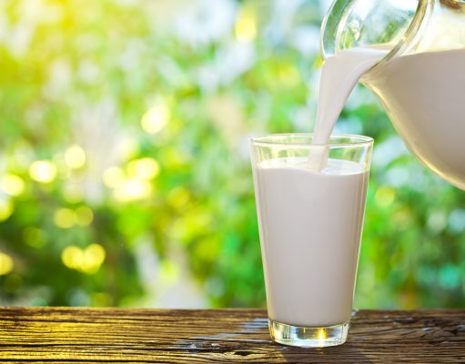 Cow Milk, Goat Milk, or Sheep Milk: Which One Should You Choose?