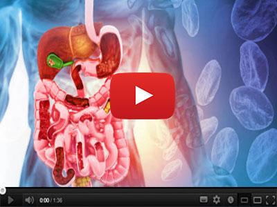 A video of a video showing a video of a human digestive system

Description automatically generated